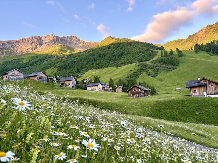 novaworld tweet media