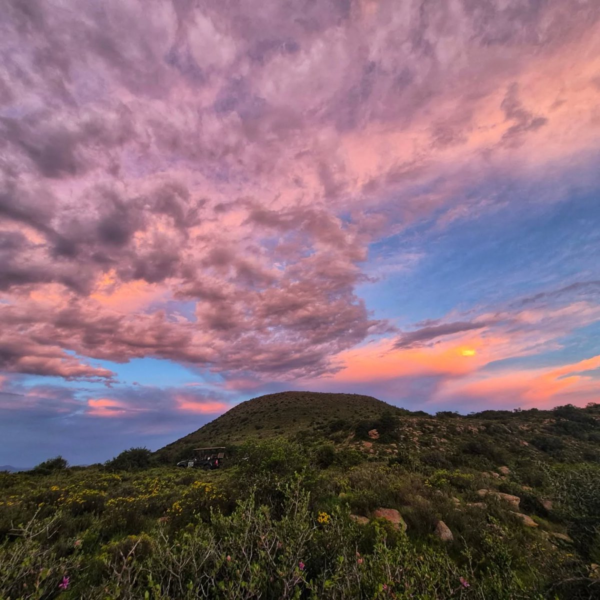 SANParks Camdeboo tweet media