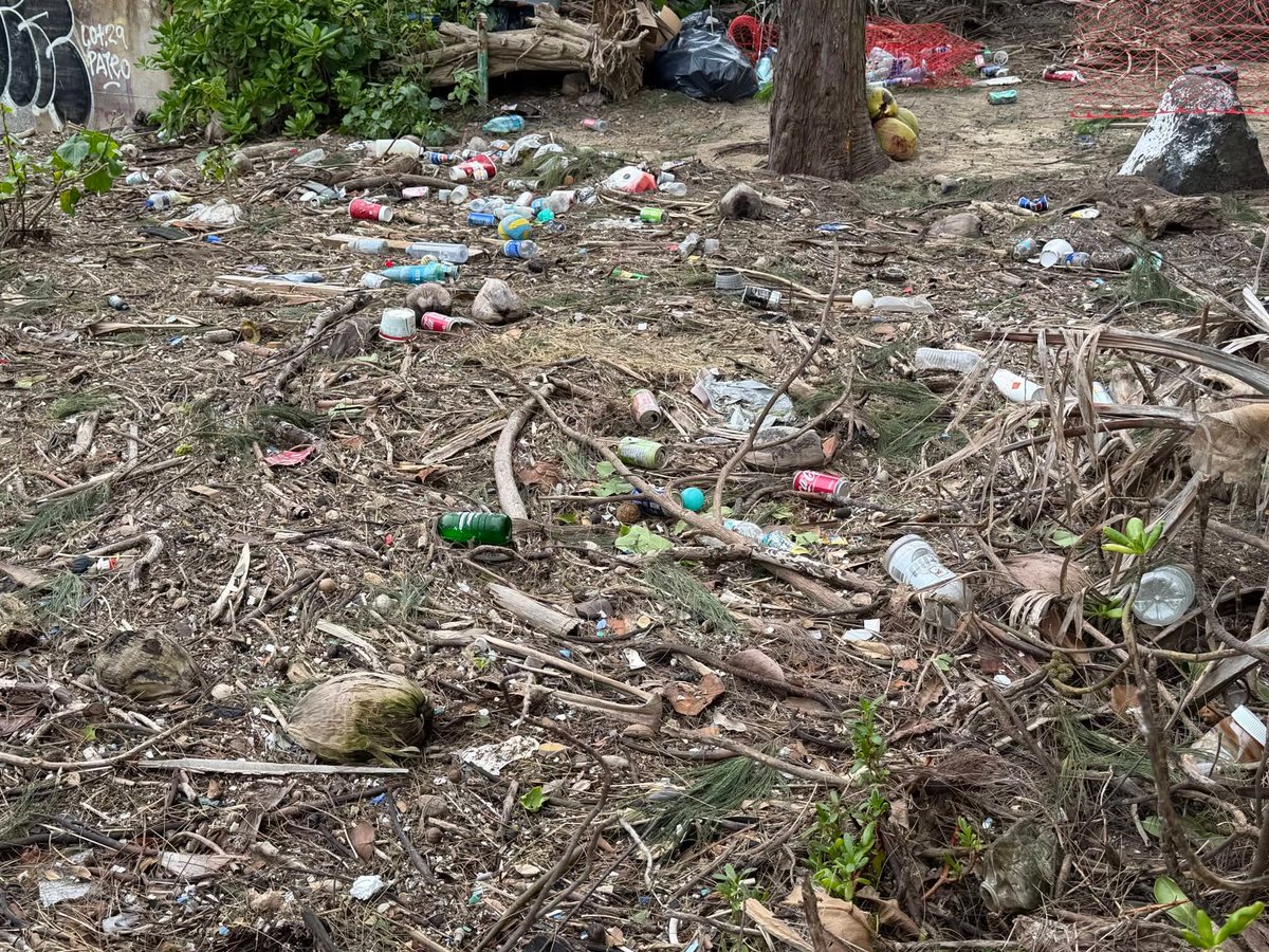 808cleanups tweet media