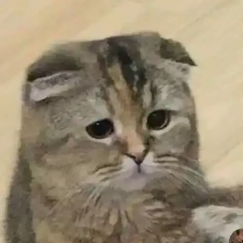 เค้าสั่งของขวันให่เบบี๋ด้วย

จิงงะ

จิงคับ (เกบเงินปลายทาง)