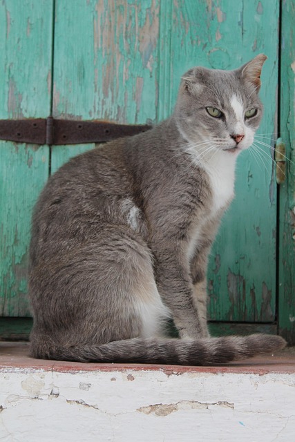 Melanie Romero tweet media