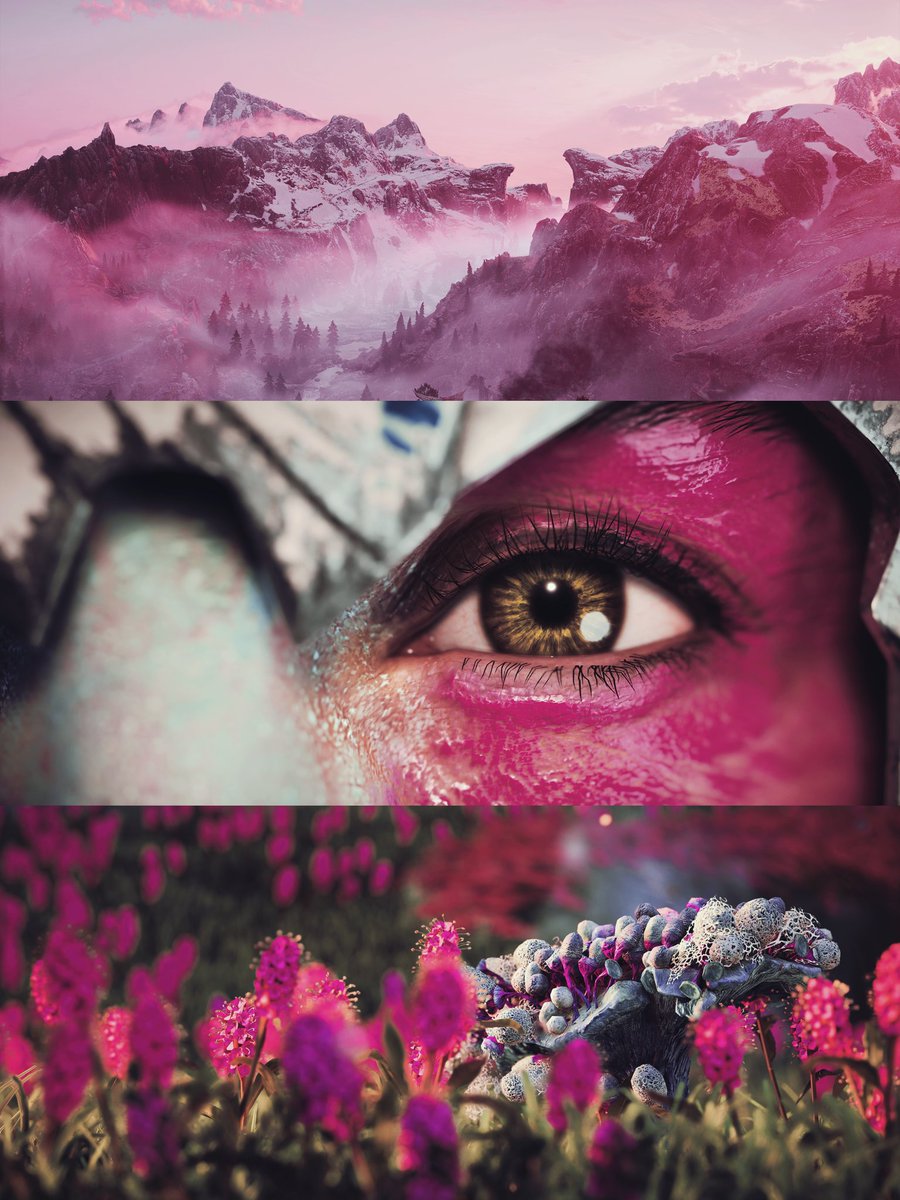 Sarah Gurrado tweet media