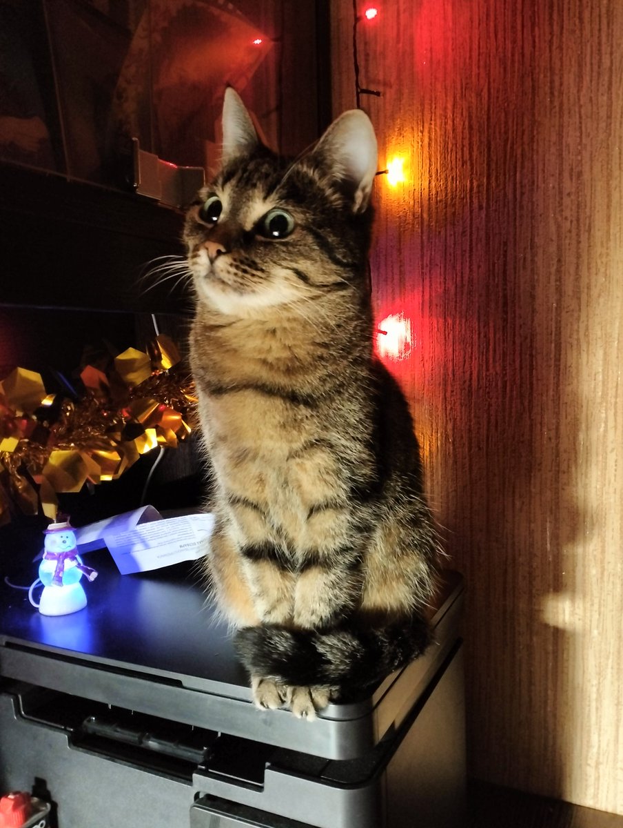 Грета Туборг tweet media