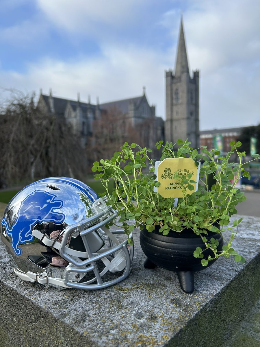 Happy St Patrick’s Day

St Patrick’s Cathedral Dublin, Ireland 

Leoin Abu ( Irish for go Lions ) <a href="/Lions/">Detroit Lions</a> ☘️💙🦁

#oneprideworldwide