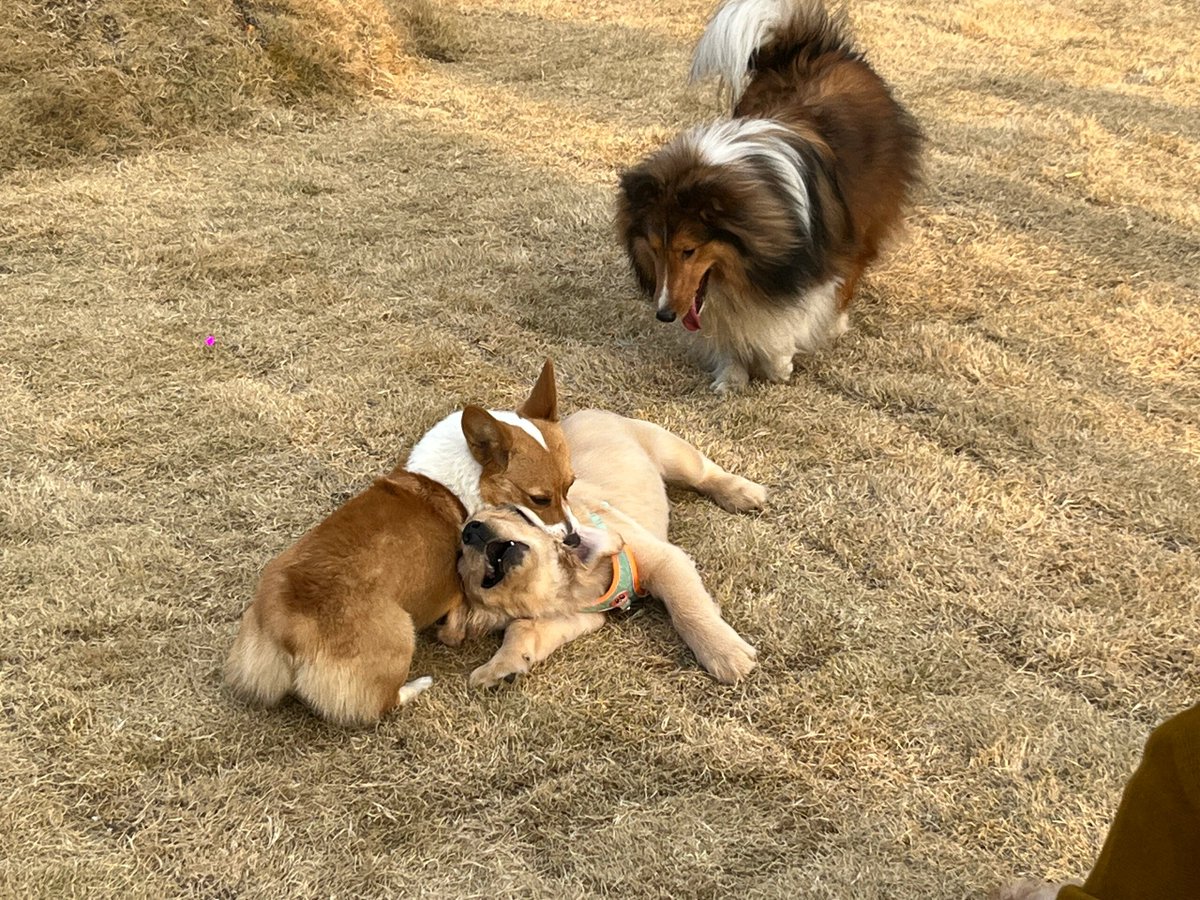 美股投资网助理 tweet media