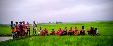 MSC (MicroSave Consulting) tweet media