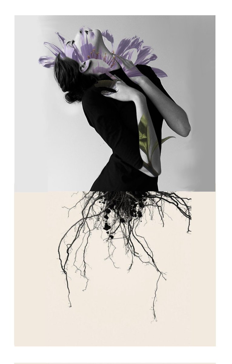 DEAD MASKS 🇦🇺 tweet media