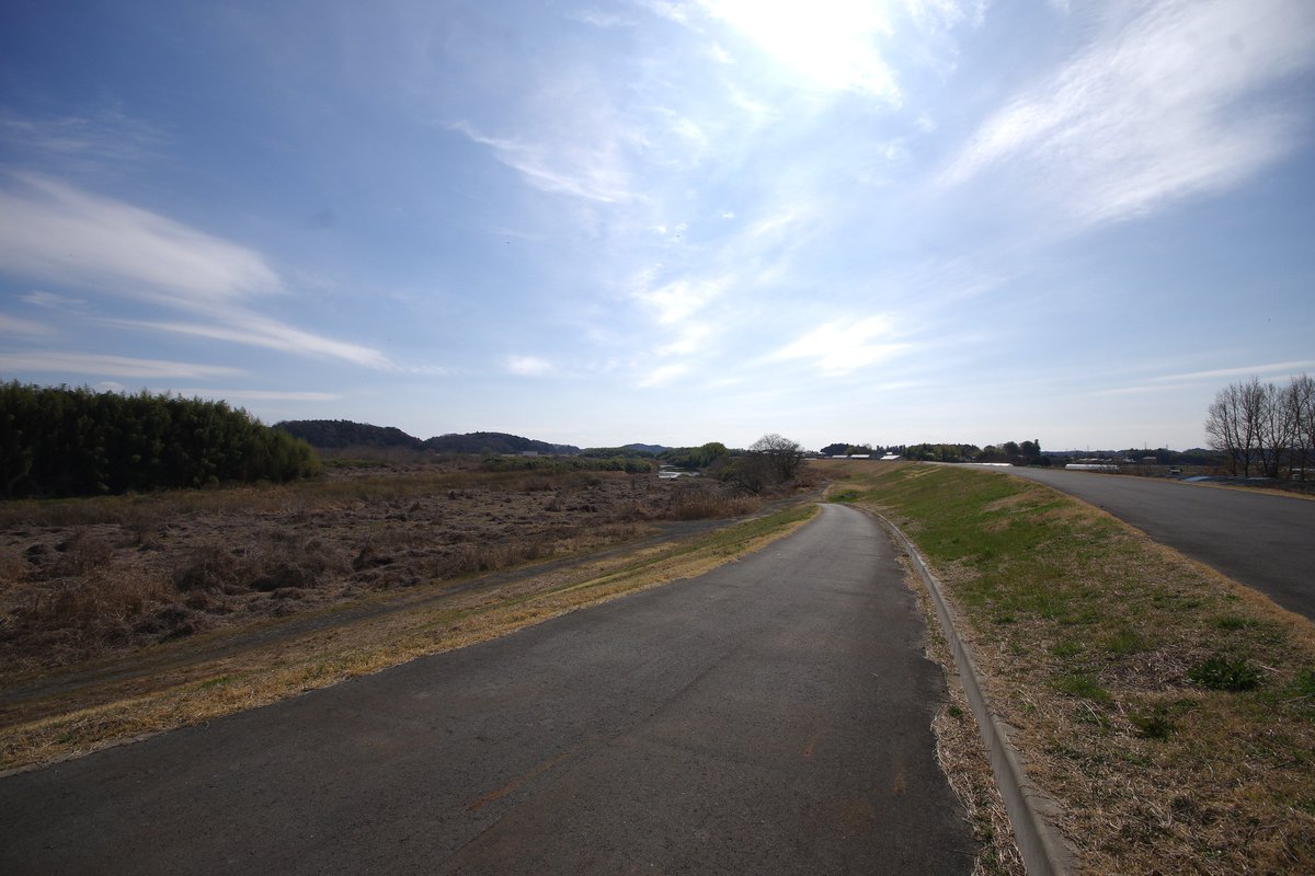 crystaliron's tweet photo. 今日は、久慈川の河口から約21km付近、常陸大宮市根本付近を軽くウォーキングです。3月もこの頃になると暖かくなってきました。日当たりの良い堤防ではつくしんぼも出はじめました。野鳥はツグミです。
♭久慈川　♭常陸大宮市根本 https://t.co/gy3kT9jke6