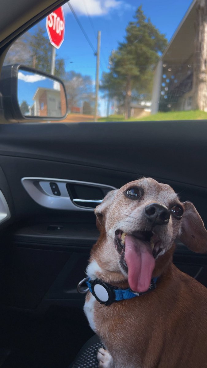 makayla 🌷📖 tweet media