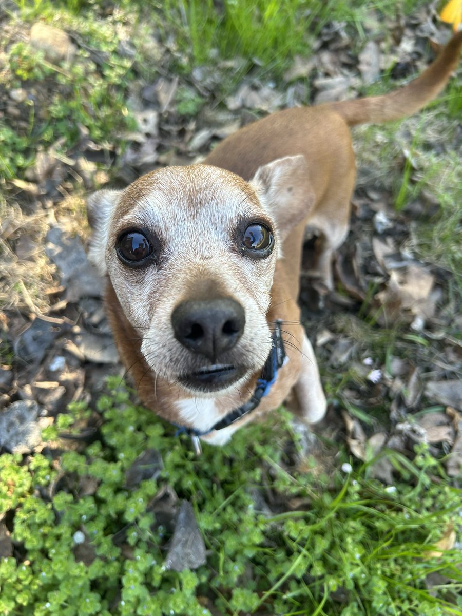 makayla 🌷📖 tweet media