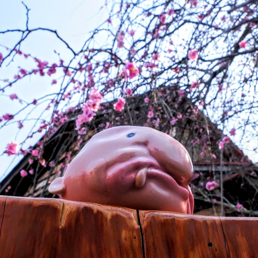 ceramimic2021's tweet photo. ブロブフィッシュ形カップ
#ニュウドウカジカ #blobfish https://t.co/VtrWiX2kJF