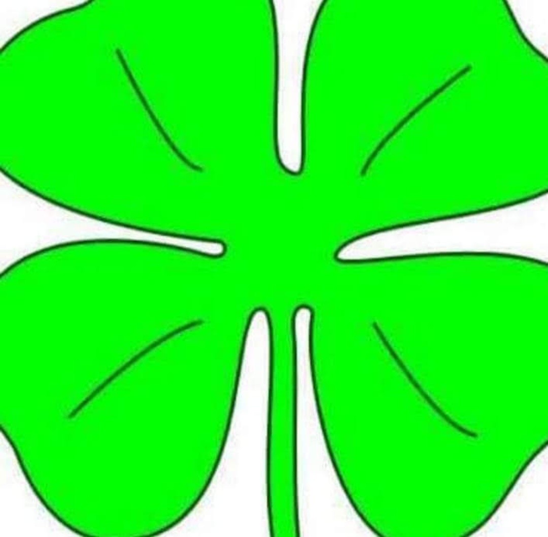 jim loftus tweet media