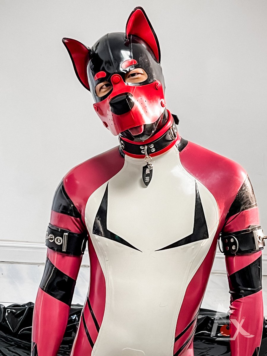 狐琊_Foxy tweet media