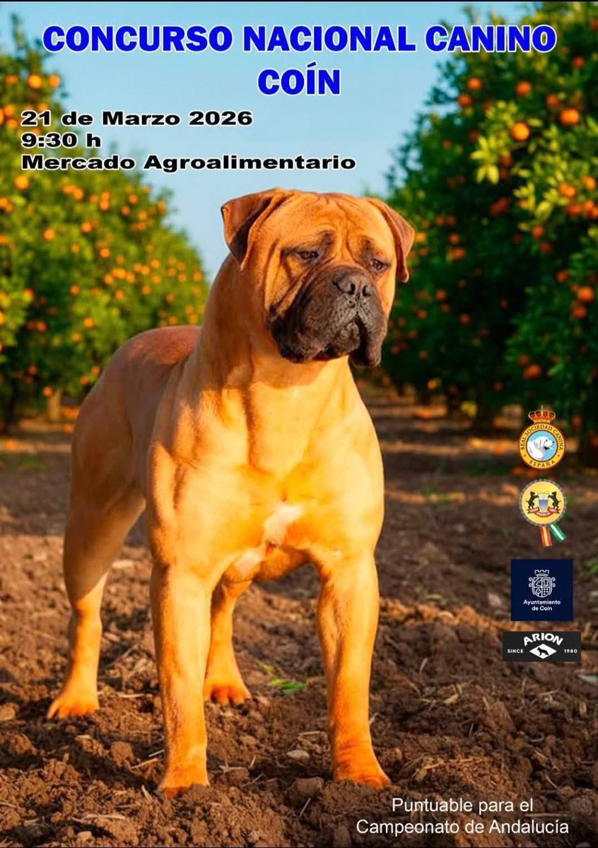 SocCaninaCSol's tweet photo. Ya disponemos de datos de participación para el próximo Concurso de Morfología Canina en #Coín , 113 ejemplares en el mercado Agroalimentario. Tendremos también la prueba Social Dog @DisfrutaMalaga
@culturamalaga @7TVMalaga @AytoCoin @DiarioSUR @malagahoy_es @opiniondemalaga https://t.co/MFwkoWk1jD
