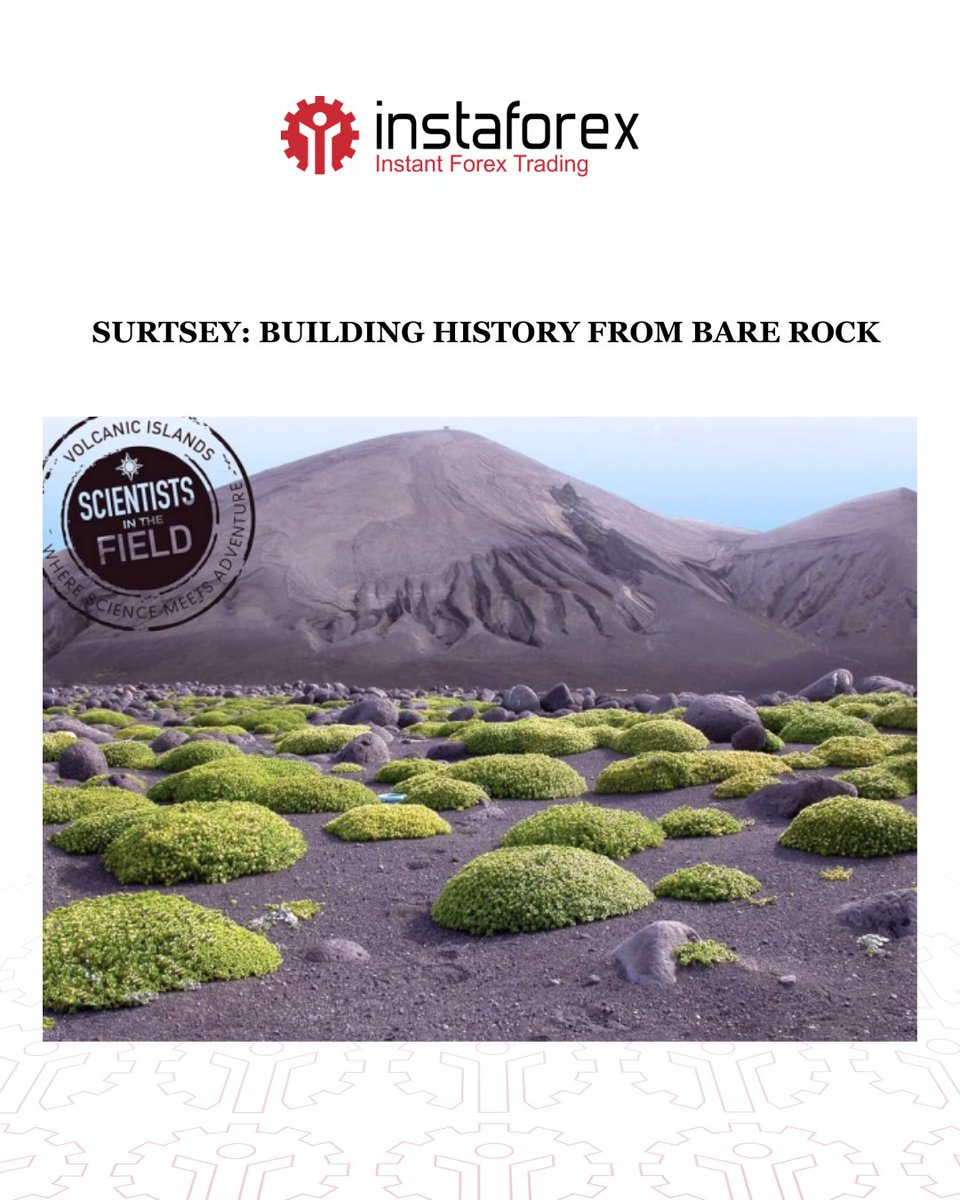 InstaForex | InstaTrade Official - Forex Trading tweet media