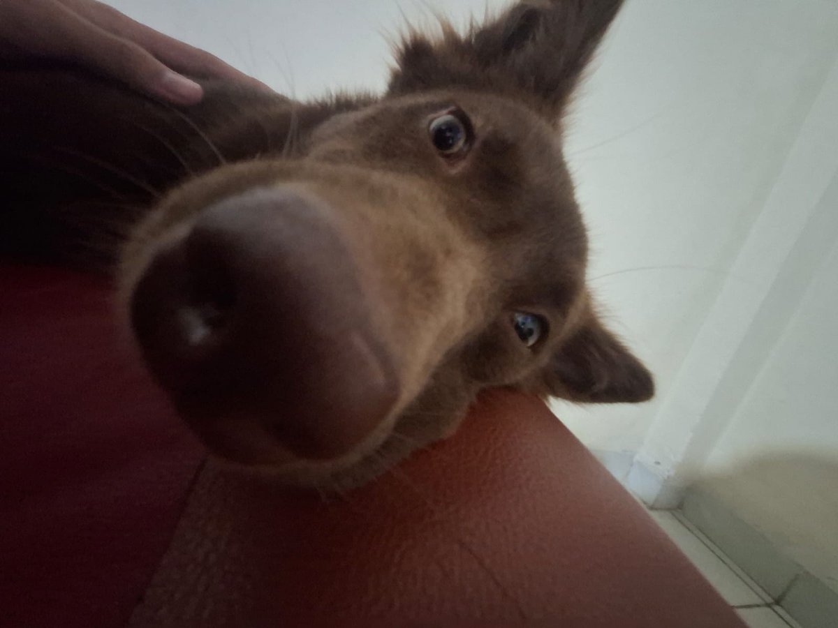 huta²⁵ lcd hp guwa mejik tweet media