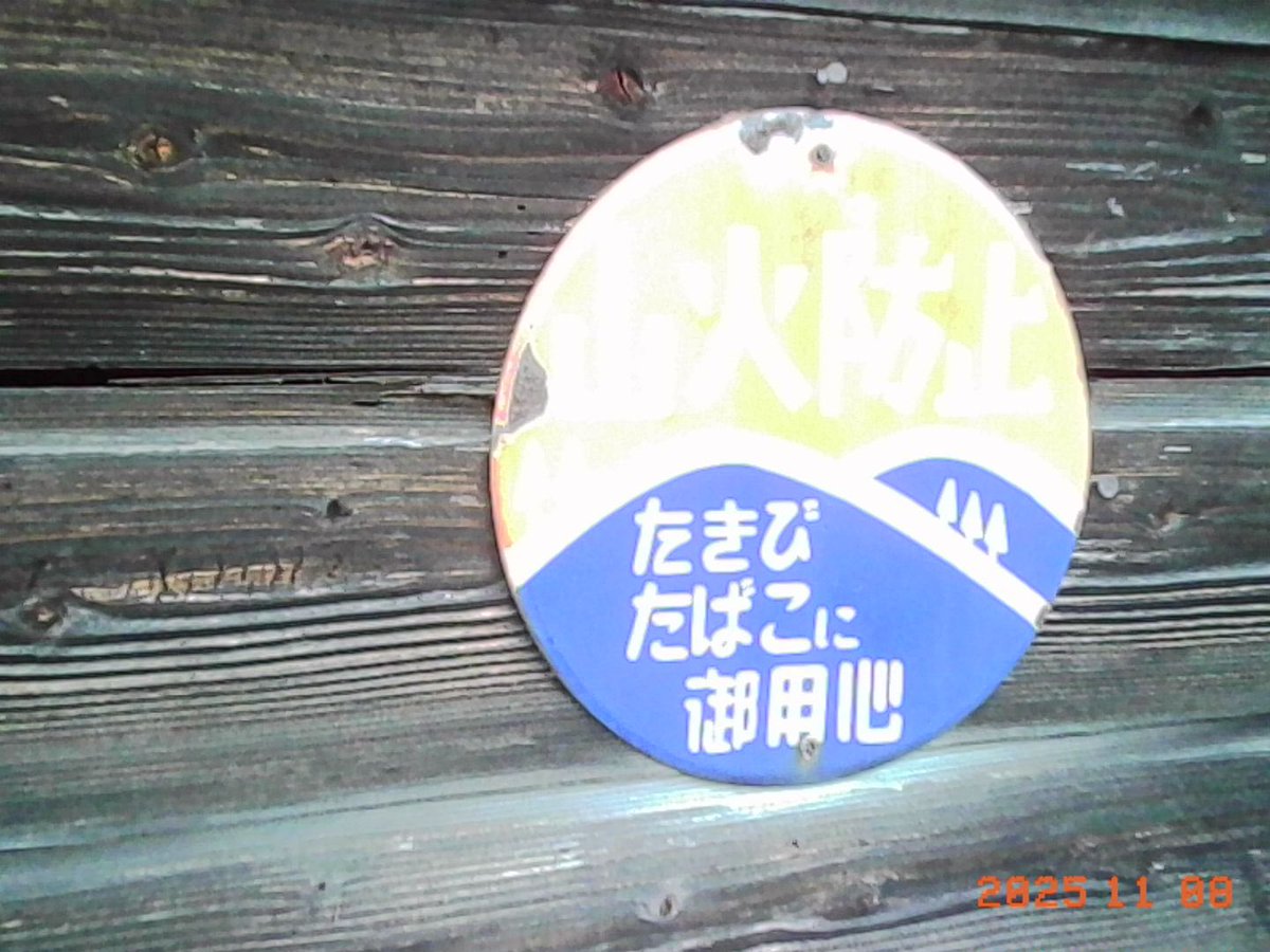 すかふぁ戎(ゑびす) tweet media