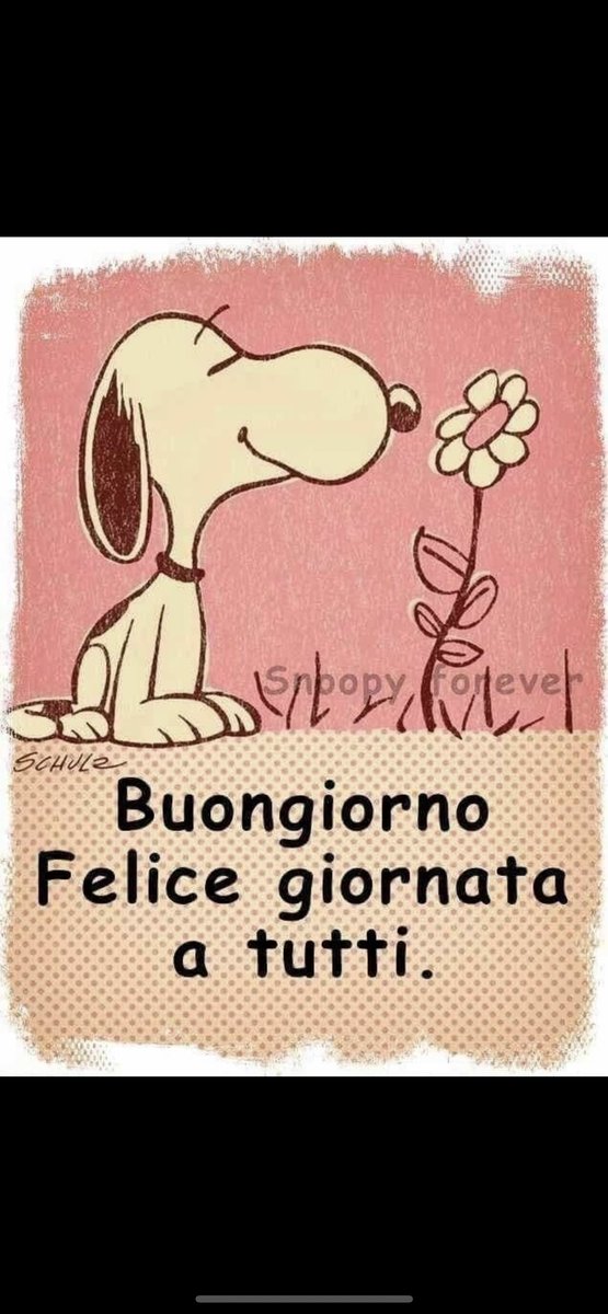 Nadietta 🏴󠁧󠁢󠁥󠁮󠁧󠁿 tweet media