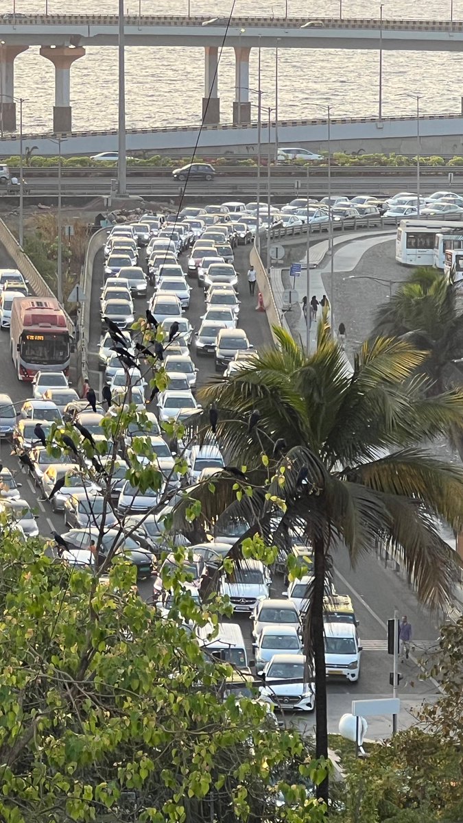 Zoru Bhathena tweet media