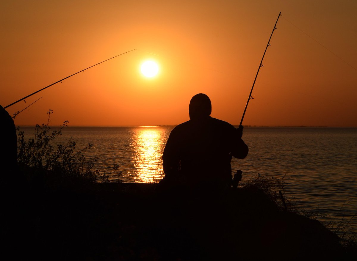 Troy Kautzman tweet media