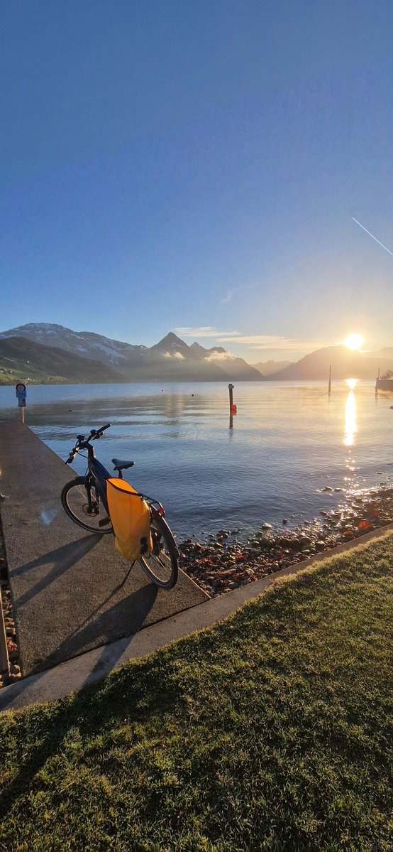 Hene Power tweet media