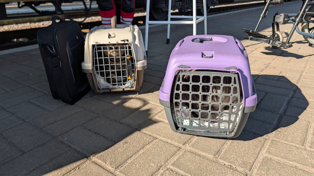 Ukrainian Red Cross tweet media