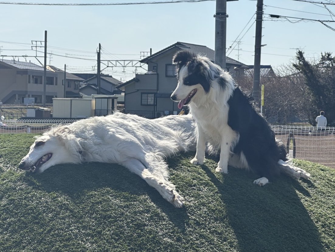 🏝ｵﾏﾂ🏝 tweet media