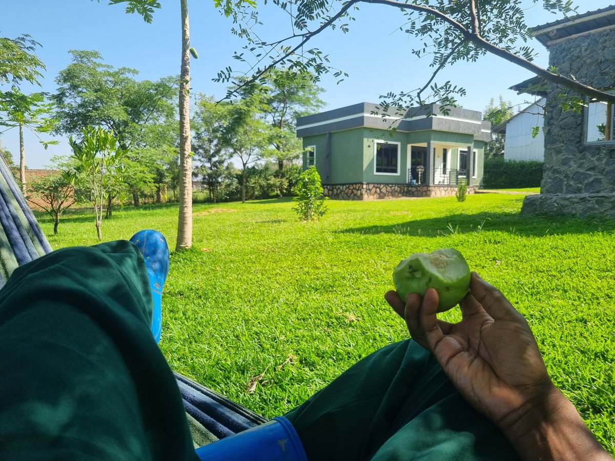 Dr. Daniel Masaba tweet media