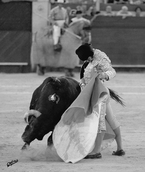 Alamares_largos tweet media