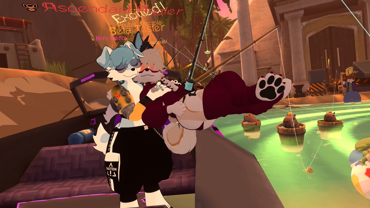 Formzy- 💫 tweet media