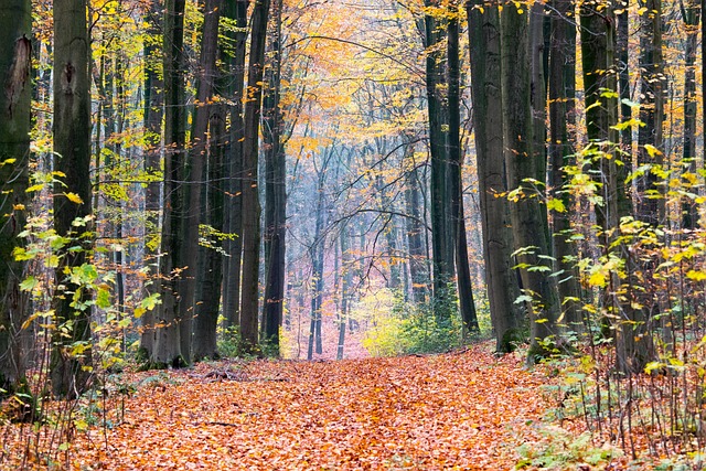 メル垢買取専門 tweet media