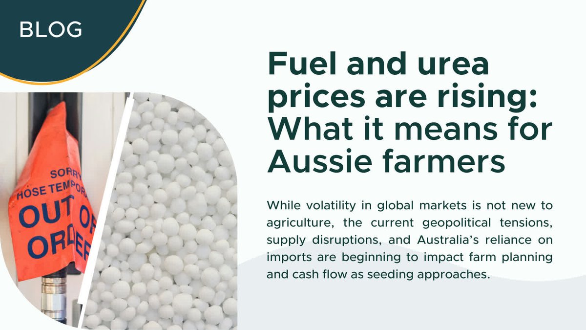 Agrimaster tweet media