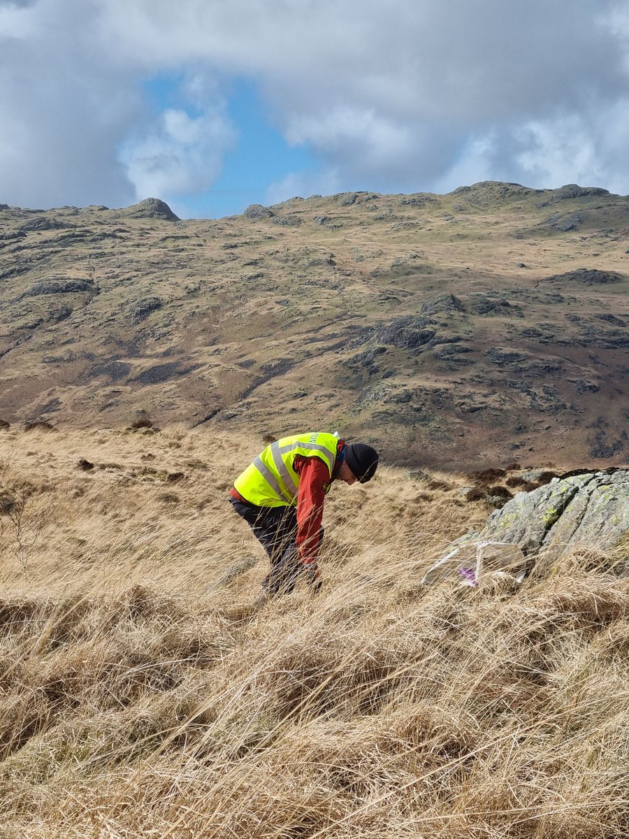 Restoring Hardknott Forest tweet media