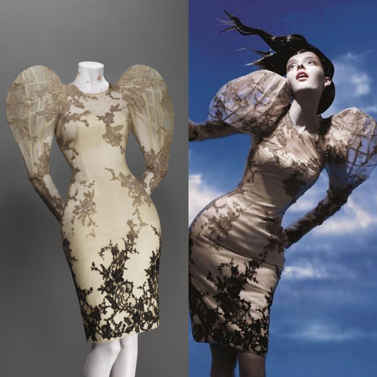 Victoria Haddock tweet media