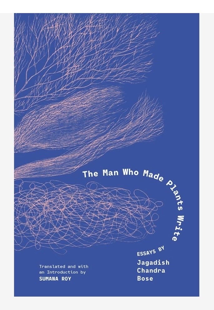 Ajay Zaveri tweet media