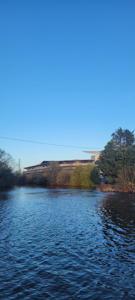 S. 🌺🇺🇸🌺 tweet media