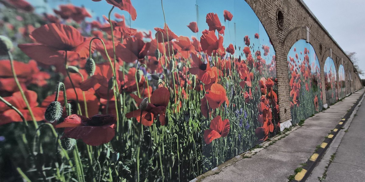 Battlefield Tours tweet media