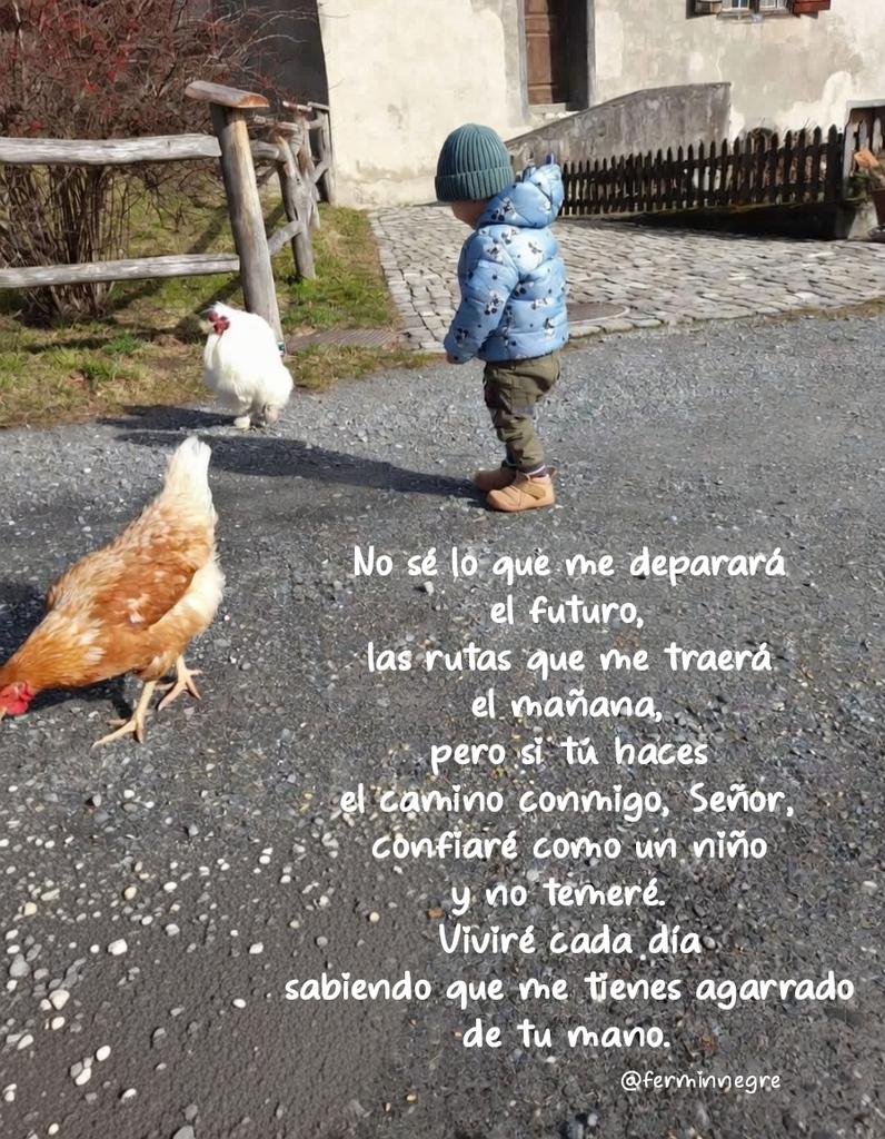 🪔 Fermín Negre 🎏 tweet media