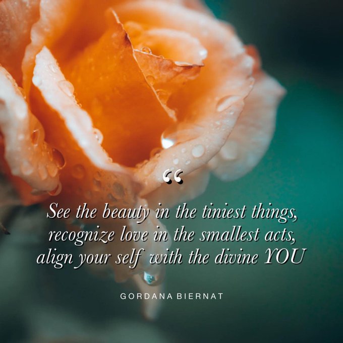TrainingMindful's tweet image. #beauty #love #divine