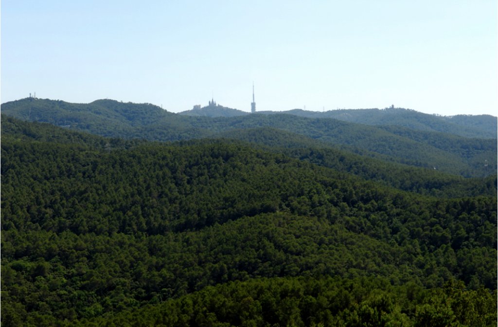 Catalunya Metropolitana tweet media