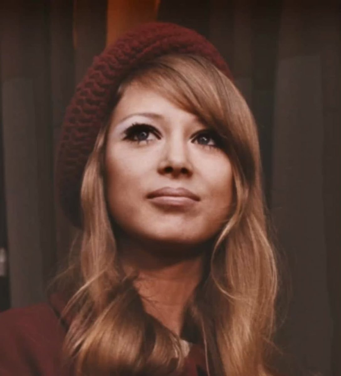 Scully 🪲 tweet media