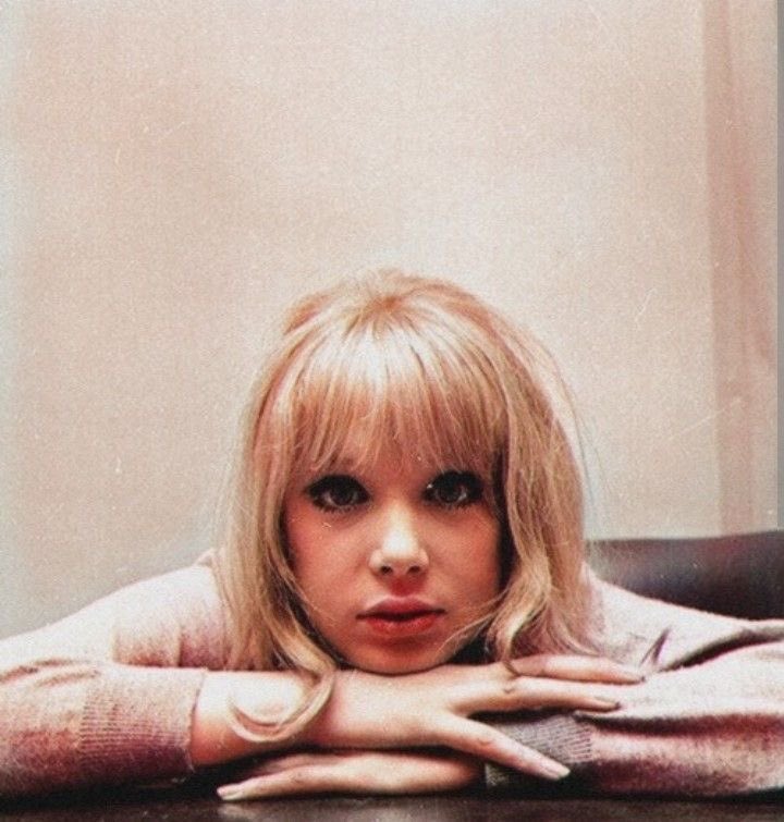 Scully 🪲 tweet media