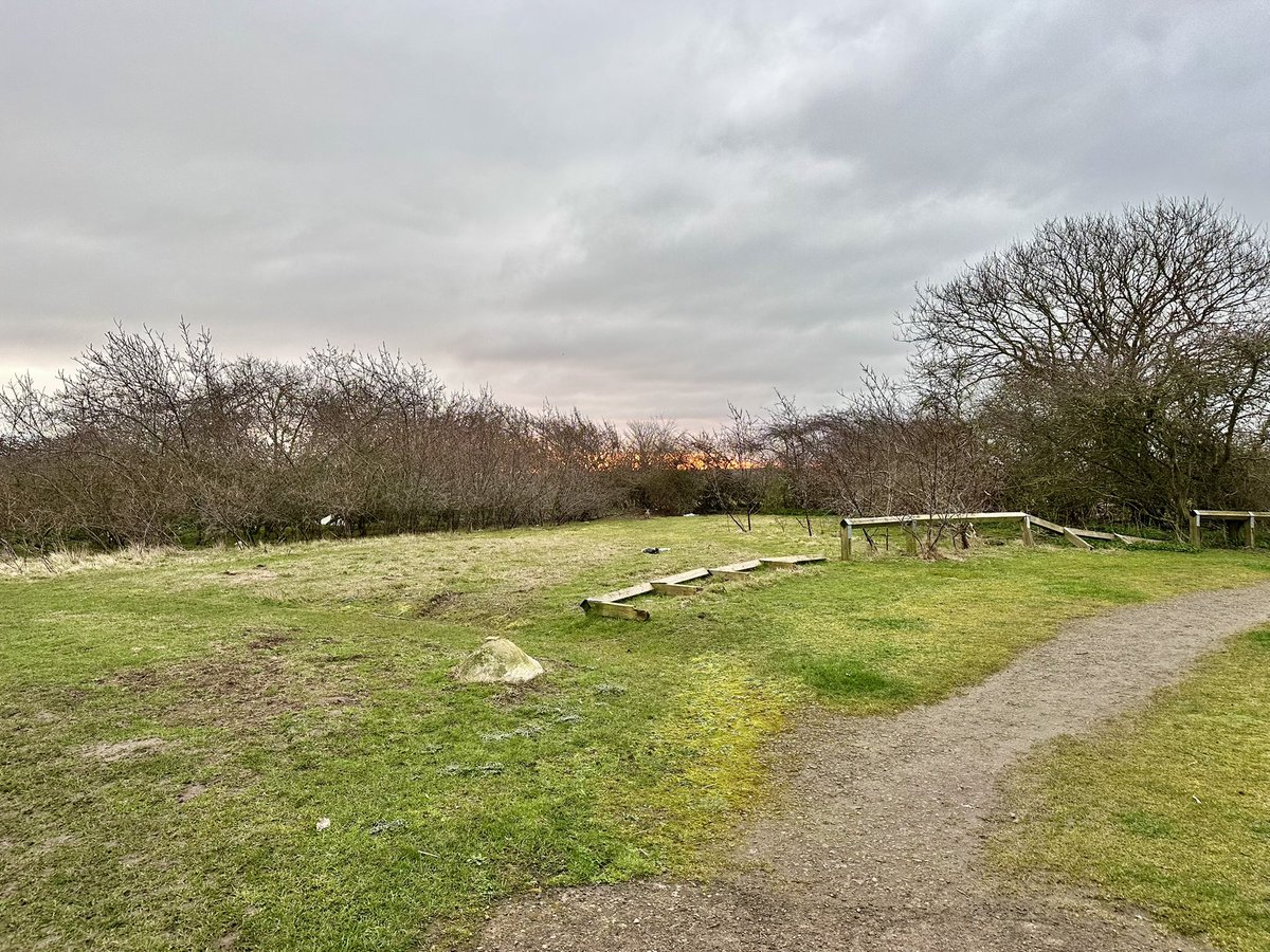 The Hutch Runs tweet media