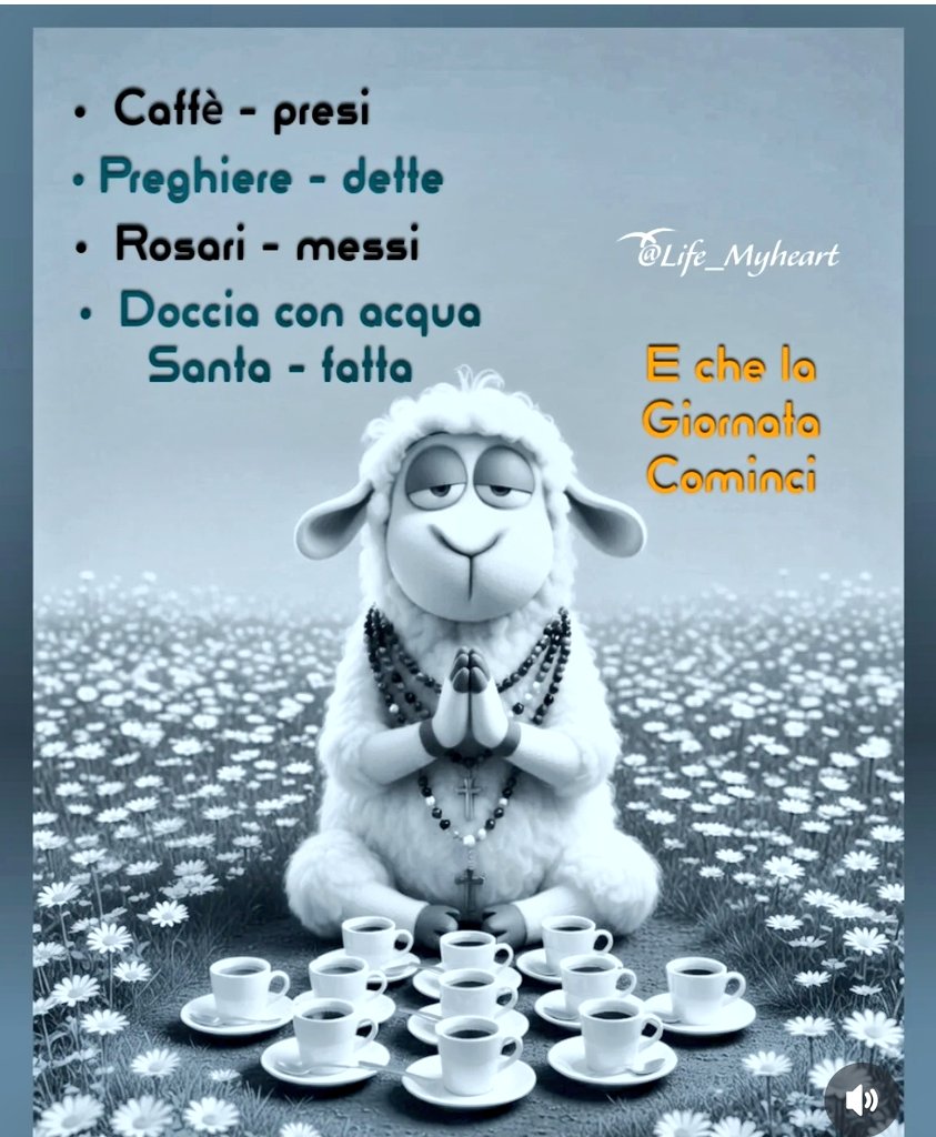 Maristella tweet media