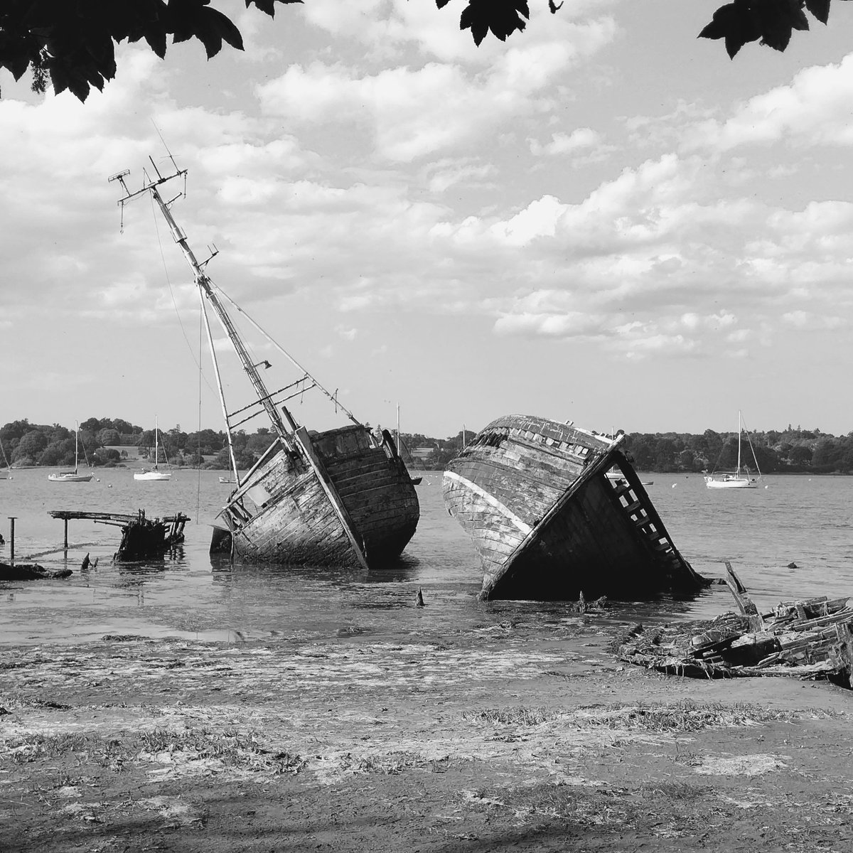 Suffolk Detectorist tweet media