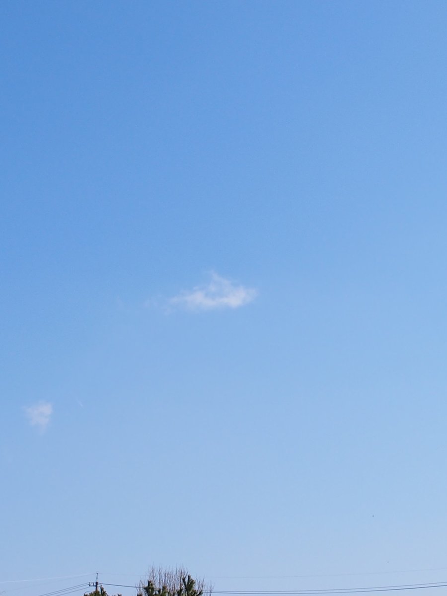 おりんぱすー E-PL6　白熱電球WB+デイドリーム
3:4ハーフ風比率　4:3縦持ちと変わらんと言われればそれまでかもしれないけれど
#マイクロフォーサーズ