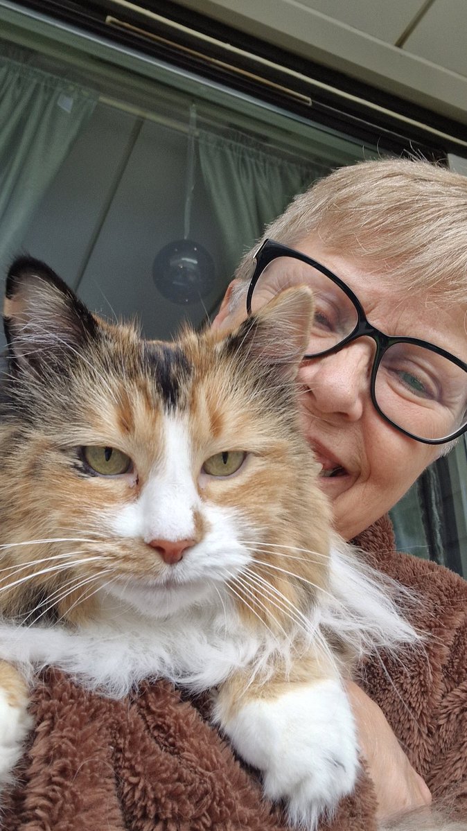 Mari-Ann Hoeggen tweet media