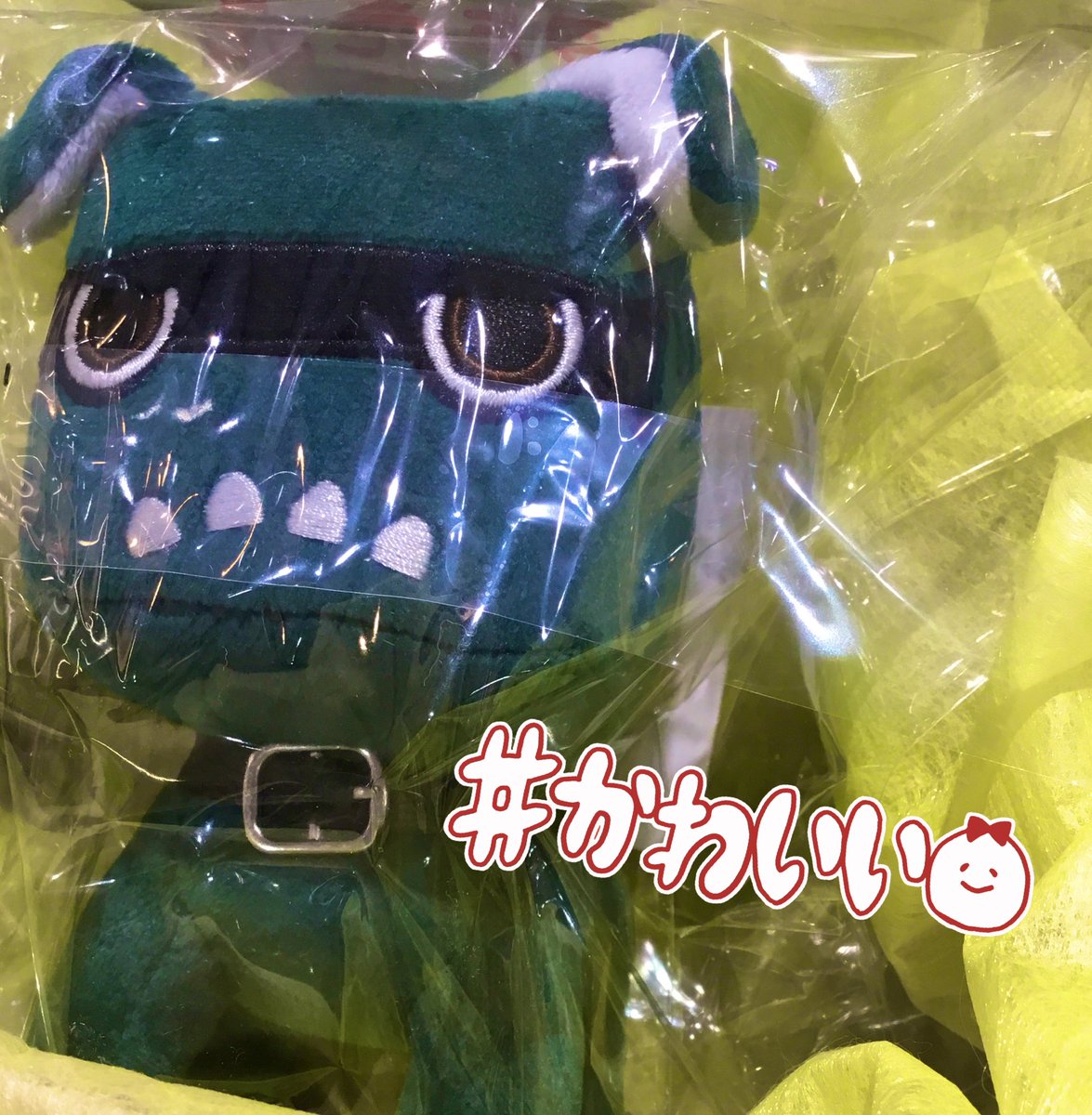 あいつはあいつは可愛い🎵のCMでお馴染みの、
デリカミニから生まれたデリ丸。が
絵本になりました❣️🚗

デリ丸と遊びながら森の中や川を渡って冒険しよう❗️
森のパーティーに参加できるかな？
⭐️お店の中でぬいぐるみも展示中です🐕💨

#デリ丸 #小学館 #デリカミニ #絵本 
#TSUTAYAエミフル