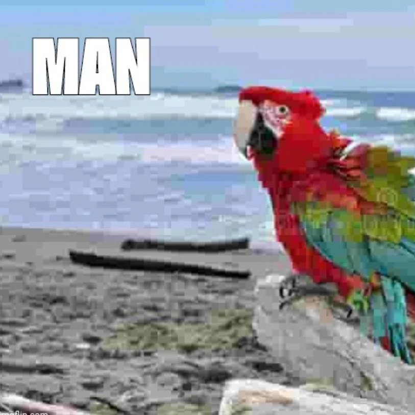 Pan-Pizza tweet media