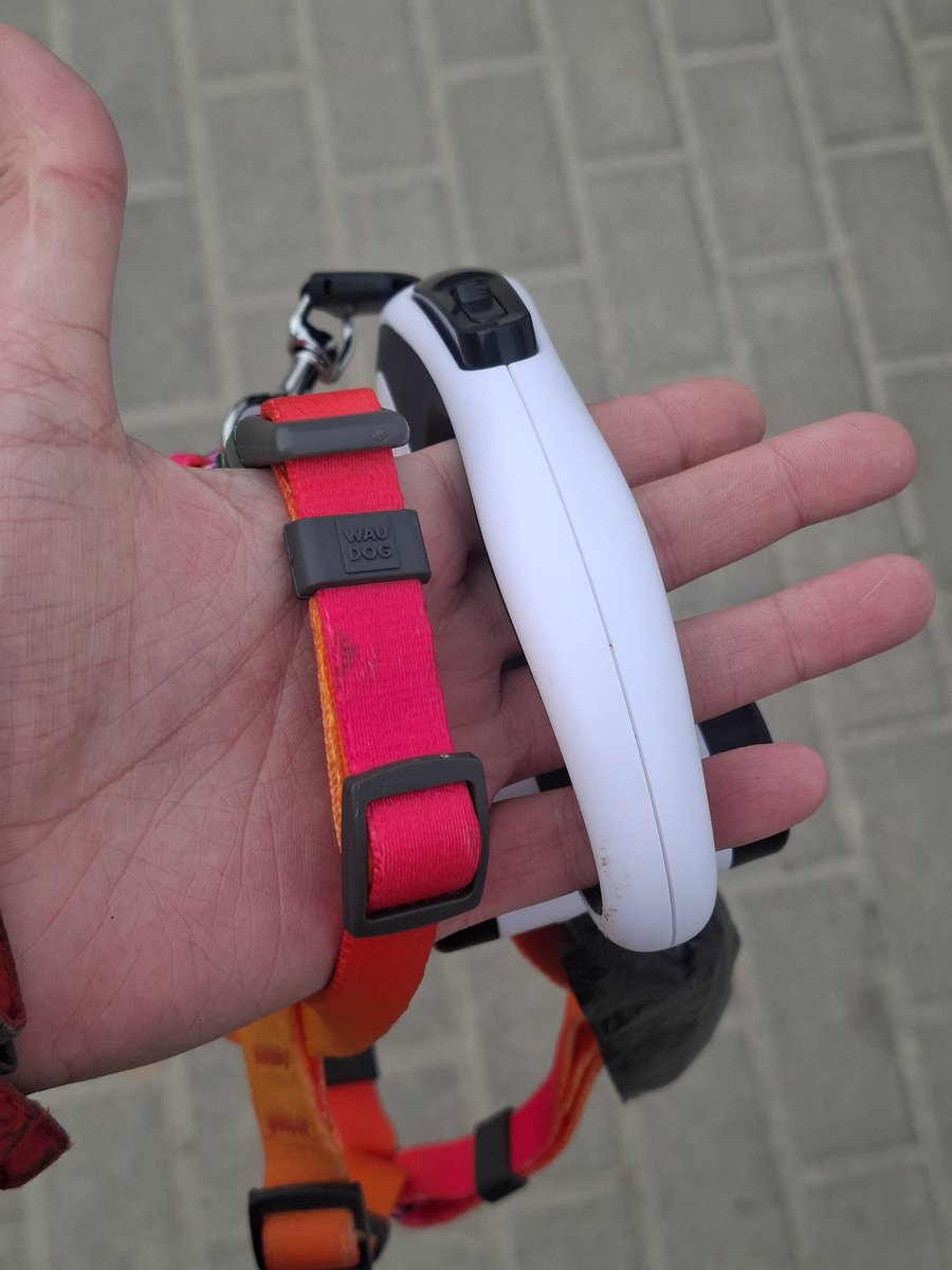 Та, що танцює з вітром tweet media